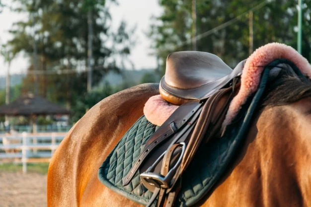 Mastering Equestrian Excellence Since 1979