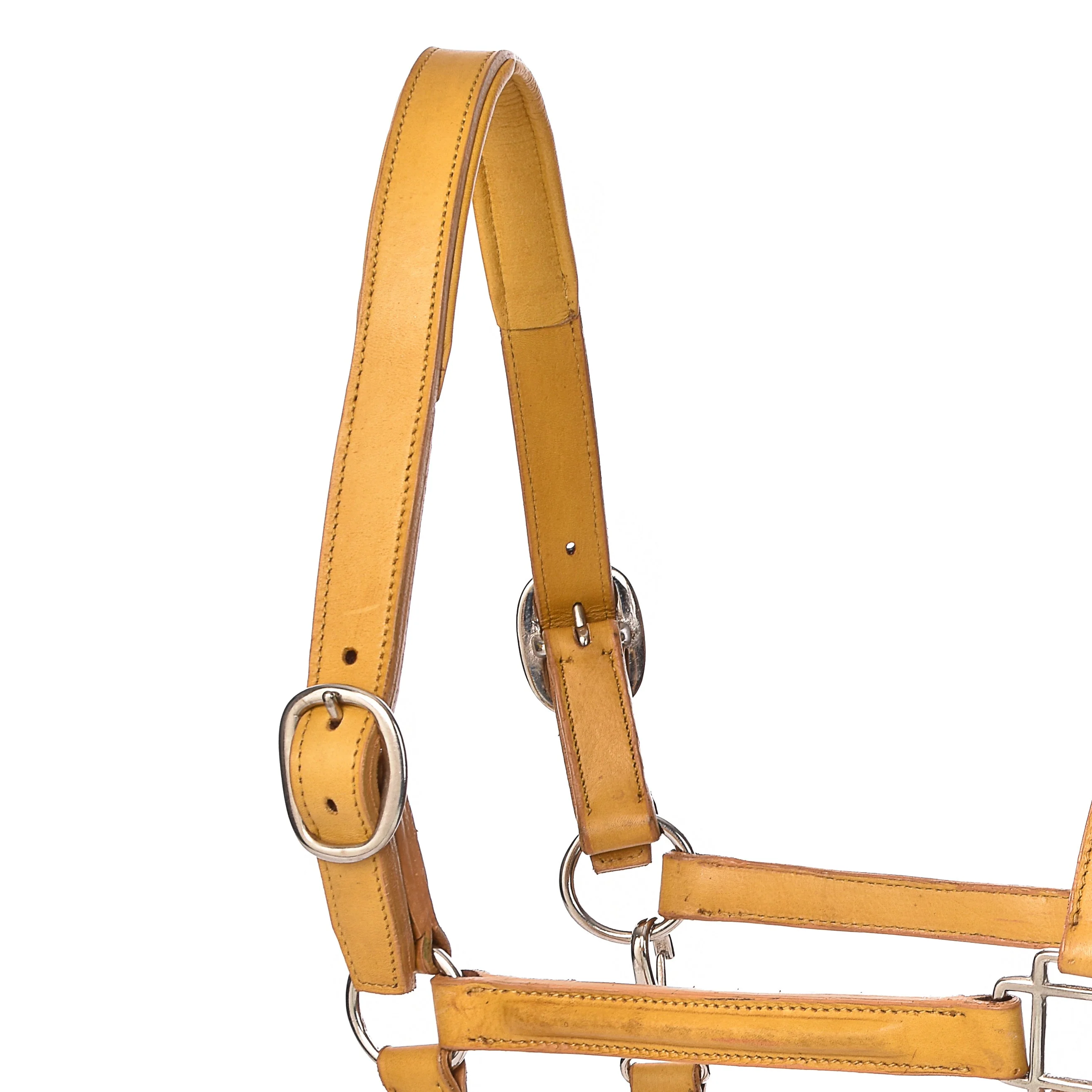 Derby Halters - Image 26