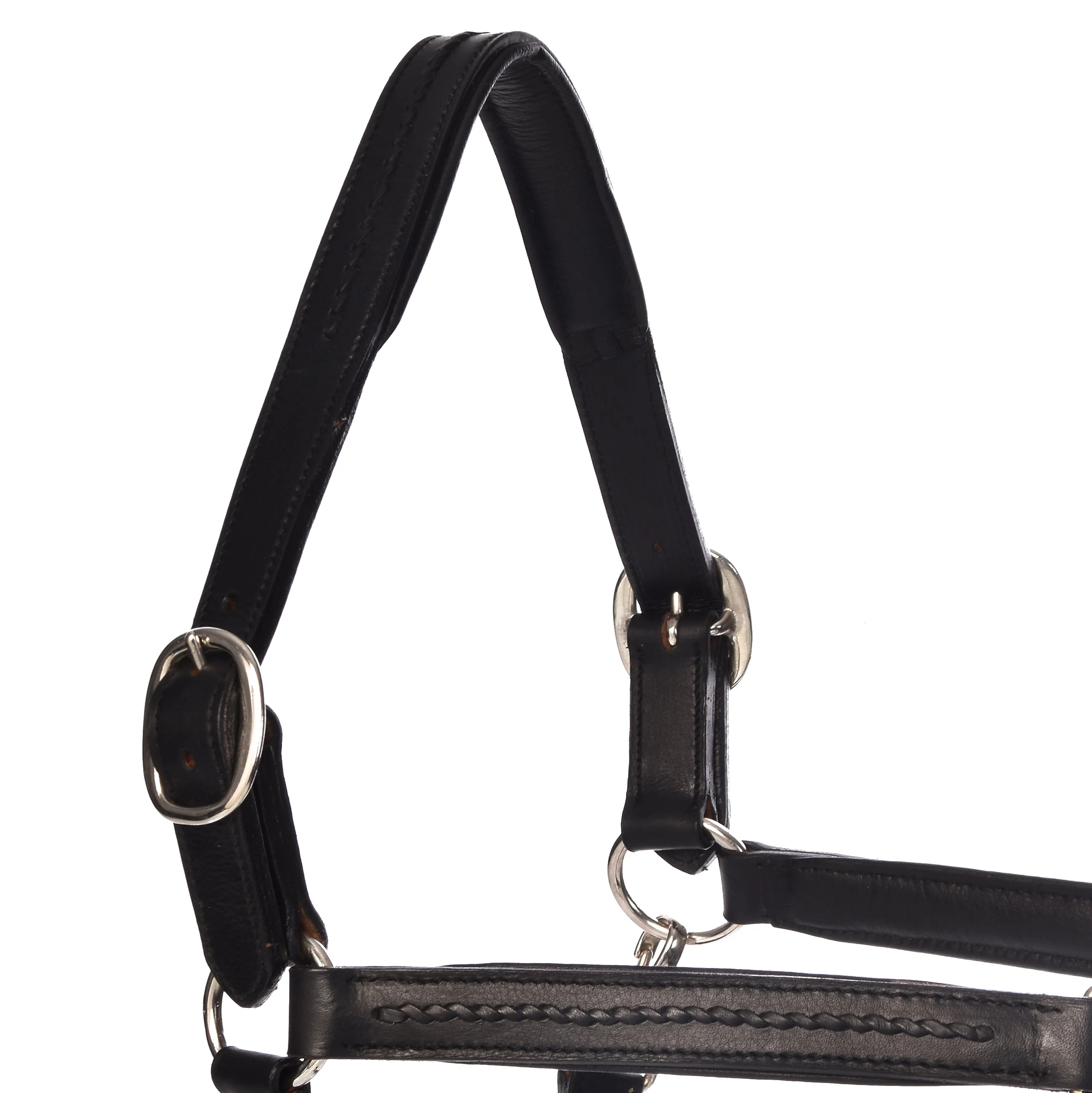 York Halters - Image 3